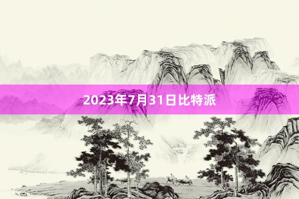 2023年7月31日比特派