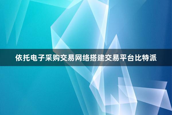 依托电子采购交易网络搭建交易平台比特派