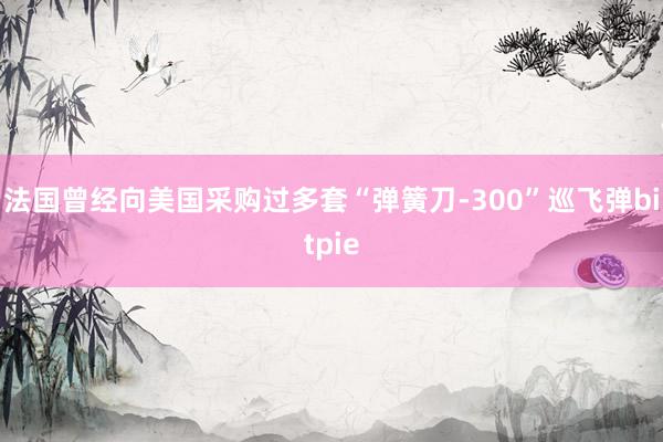 法国曾经向美国采购过多套“弹簧刀-300”巡飞弹bitpie