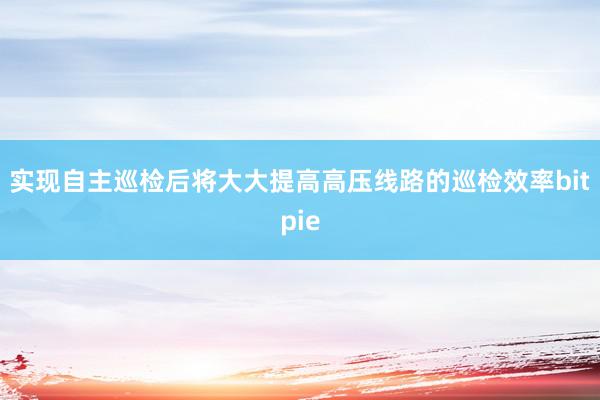 实现自主巡检后将大大提高高压线路的巡检效率bitpie