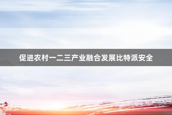 促进农村一二三产业融合发展比特派安全