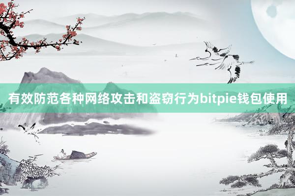 有效防范各种网络攻击和盗窃行为bitpie钱包使用