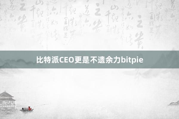 比特派CEO更是不遗余力bitpie