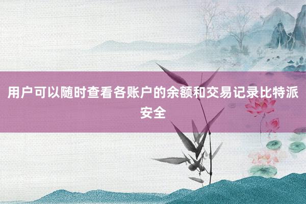 用户可以随时查看各账户的余额和交易记录比特派安全