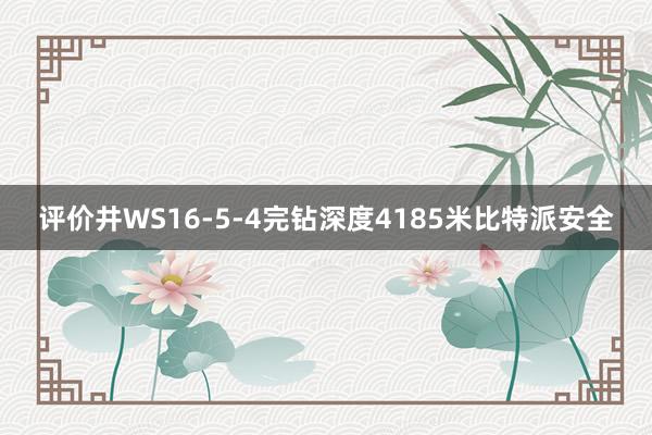 评价井WS16-5-4完钻深度4185米比特派安全