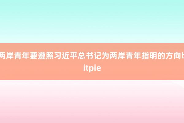 两岸青年要遵照习近平总书记为两岸青年指明的方向bitpie