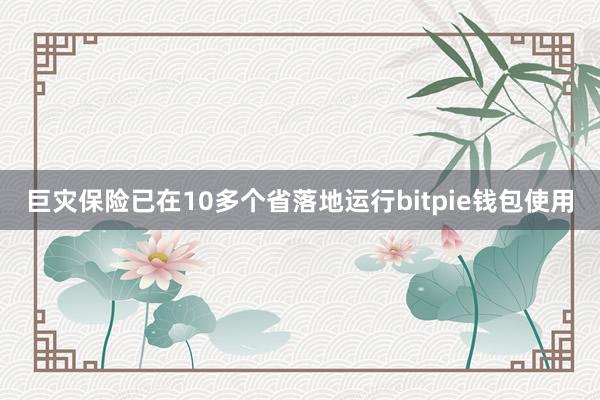 巨灾保险已在10多个省落地运行bitpie钱包使用