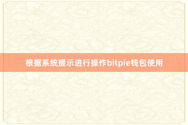 根据系统提示进行操作bitpie钱包使用