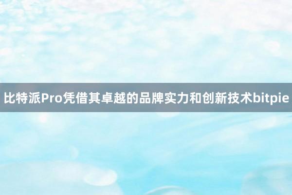 比特派Pro凭借其卓越的品牌实力和创新技术bitpie