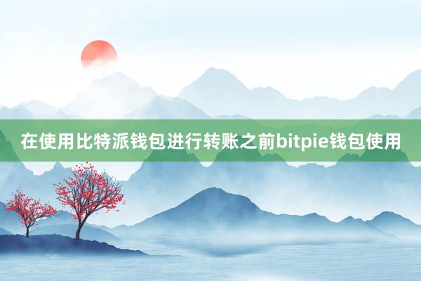 在使用比特派钱包进行转账之前bitpie钱包使用