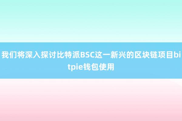 我们将深入探讨比特派BSC这一新兴的区块链项目bitpie钱包使用