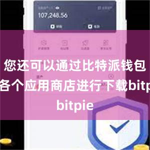 您还可以通过比特派钱包在各个应用商店进行下载bitpie