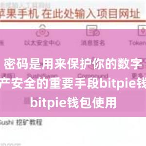 密码是用来保护你的数字货币资产安全的重要手段bitpie钱包使用