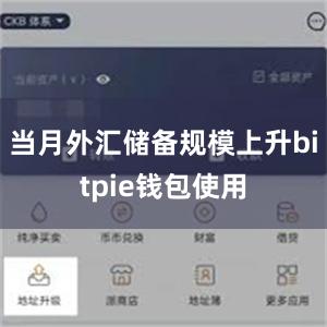 当月外汇储备规模上升bitpie钱包使用